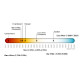 50 W LED with Color Temperature of 6000-6500 K
