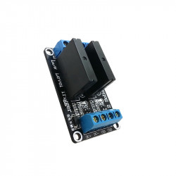 Module with 2 Solid State Relays (240 V, 2 A)