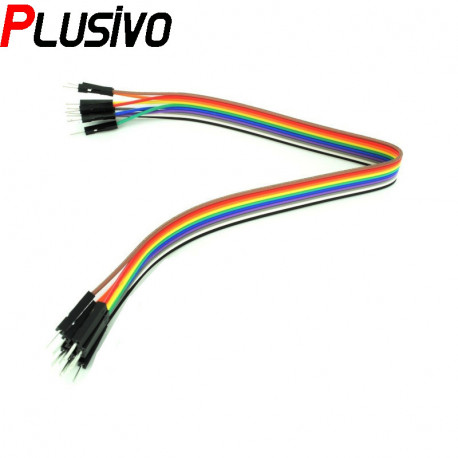 30 cm 40p Male to Female Wire