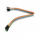 30 cm 40p Male to Female Wire