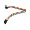 30 cm 40p Male to Female Wire
