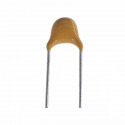 10 uF Capacitor