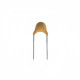 10 uF Capacitor