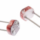 Photoresistor (type 5528)